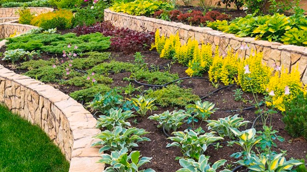 Tiered garden area with variety of plants and flowers.