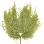 Blooms of Joy 40cm Green Mountain Fern 10 Piece
