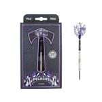 TEX 22g Pegasus 90% Tungsten Darts Barrel Shaft TEX Grip