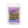 Zenith 8G x 30mm Gold Passivated Bugle Head Plasterboard Screws - 100 Pack