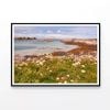 Field Of Flowers Next To River   Print 100% Australian Made 120x90cm  (Poster)