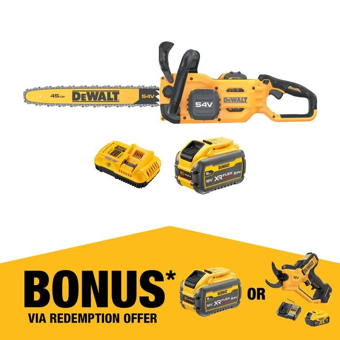 DeWALT 54V 45cm Chainsaw Cordless Kit 
