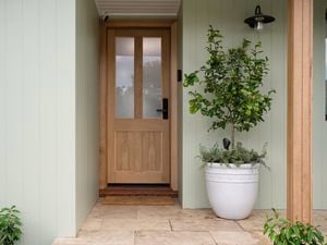 A green house with a timber front door and a plant at the front
