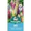 Fothergill's Lupin Gallery Mix