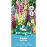 Fothergill's Lupin Gallery Mix