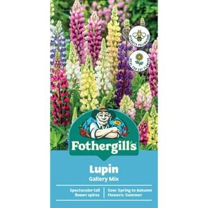 Fothergill's Lupin Gallery Mix