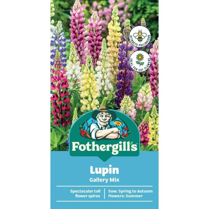 Fothergill's Lupin Gallery Mix