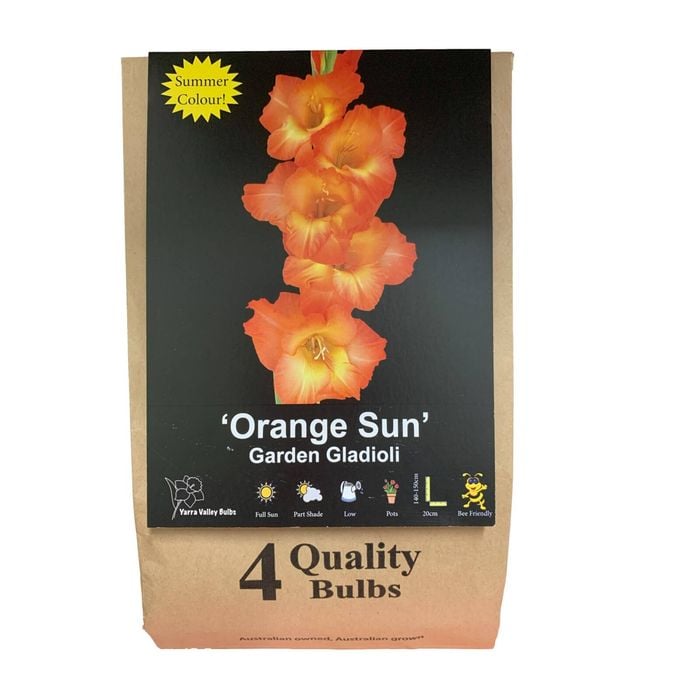 Yarra Valley Bulbs Gladioli Orange Sun - 4 Pack