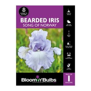 Bloomin' Bulbs Bearded Iris Song Of Norway - 1 Pack