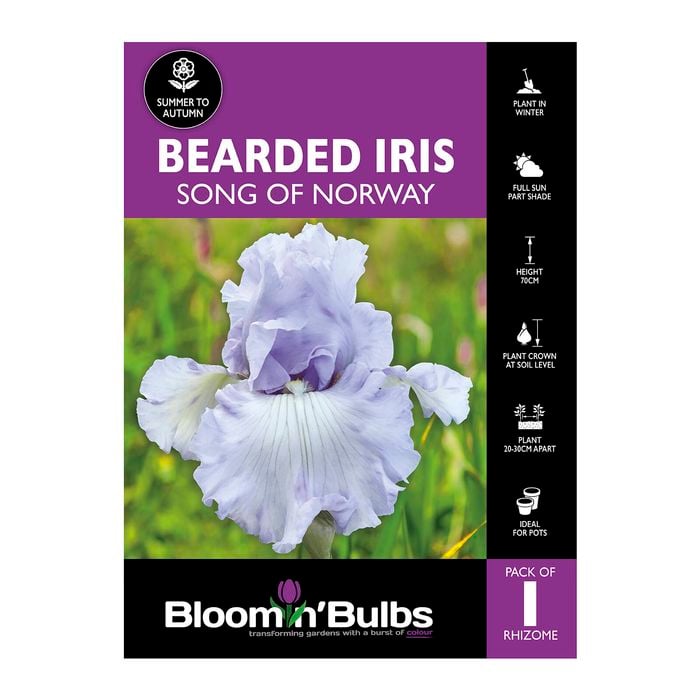 Bloomin' Bulbs Bearded Iris Song Of Norway - 1 Pack
