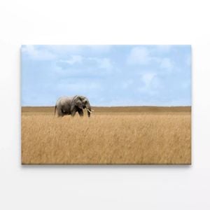 Elephant Walking Through Grass   Print 100% Australian Made 150 x 100cm  (Stretched)
