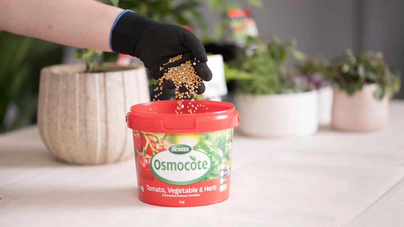 Tomatoes, vegetables, and herbs controlled release fertiliser.