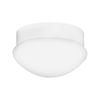 Arlec White Oyster Ceiling Fan Light