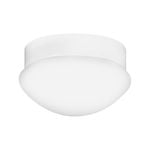 Arlec White Oyster Ceiling Fan Light