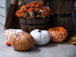 Close up of three decorated pumpkins in front of a potted plant in a barrel.