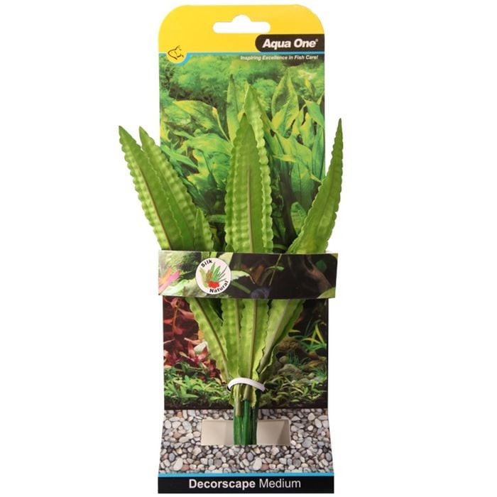 20cm Medium African Onion Aquarium Plant Silk For Fish Tanks And Aquariums by Aqua One