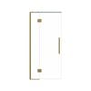 Stein 1000 x 2000mm Brushed Brass Project Shower - Door Only