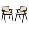 Oikiture 2x Dining Chairs Rattan Chair Balck