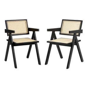 Oikiture 2x Dining Chairs Rattan Chair Balck