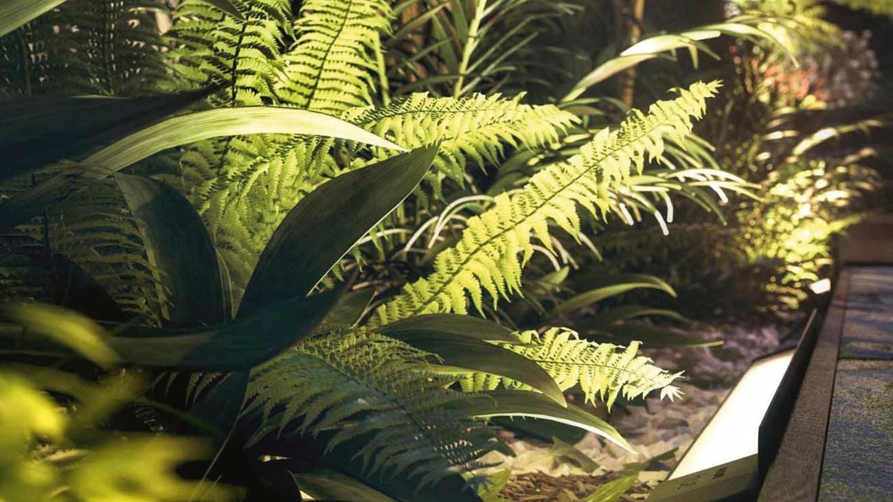 Close up shot of plants next to a path, lit up by ground light