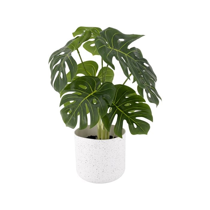 Un-Real 35cm Artificial Monstera