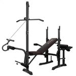 BLACK LORD 14in1 Weight Bench