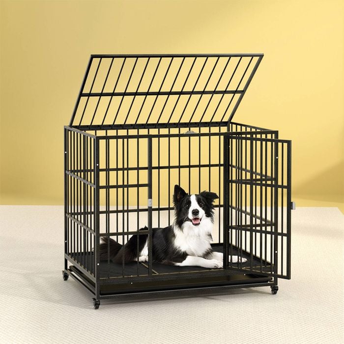 i.Pet Dog Cage Crate Large Puppy Cat Anti-Bite Pet Kennel Wheels w/Tray Metal 37''