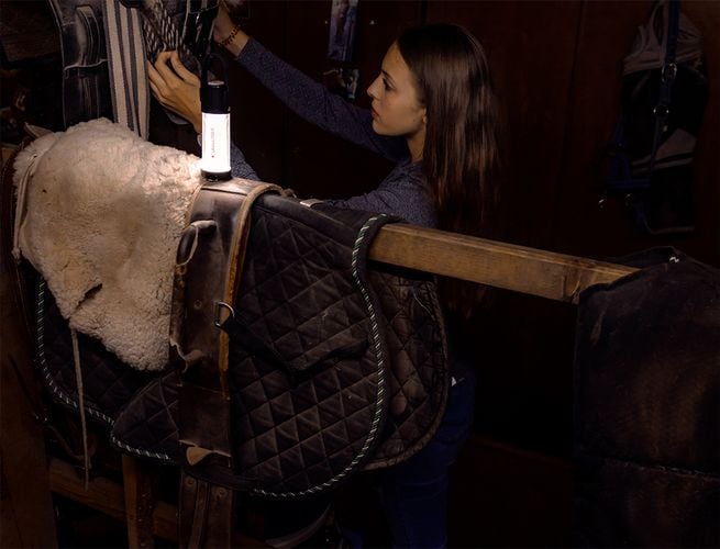 Woman working in stables with portable light