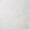 SIGNORINO 610 x 610mm Elba Aspro Marble - Carton of 5