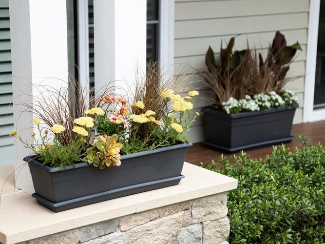 Three copper glazed pots with plants