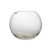 Maxwell & Williams Diamante Rose Bowl 22cm Glass Vase - Clear