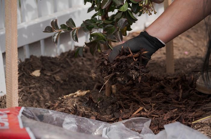 A person adding mulch around the tree.