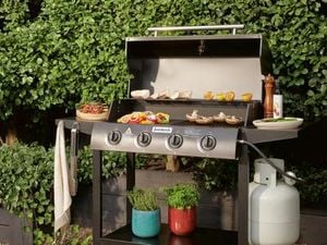 Food cooking a outdoor grill BBQ in a backyard