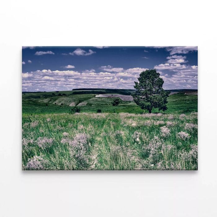 Flowers with a Tree under a Sky  Print 100% Australian Made 75 x 50cm  (Stretched)