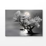 Sailing Under the Moonlight Print 100% Australian Made 120x90cm (Stretched Canvas)