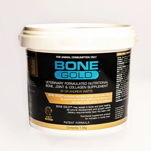 Bone Gold Equine For Horses - 6kg