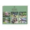 6pc Ashdene Aus Small Birds Placemat Set Native Australian Animal Art