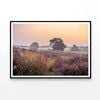 Field of Flowers with Trees  Print 100% Australian Made 120x90cm  (Poster)