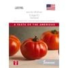 Johnsons Seed Tomato Beefsteak World Kitchen