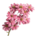 Blooms Of Joy 30cm Pink Sola Margaret Flowers