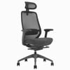 Desky CoilFlex Ergonomic Office Chair - Black with Headrest