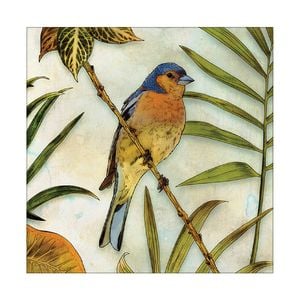 Artey | Jungle Bird II - Stretched Canvas - Stretched Canvas - 84 x 84cm