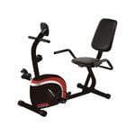 York Performance Recumbent Bike
