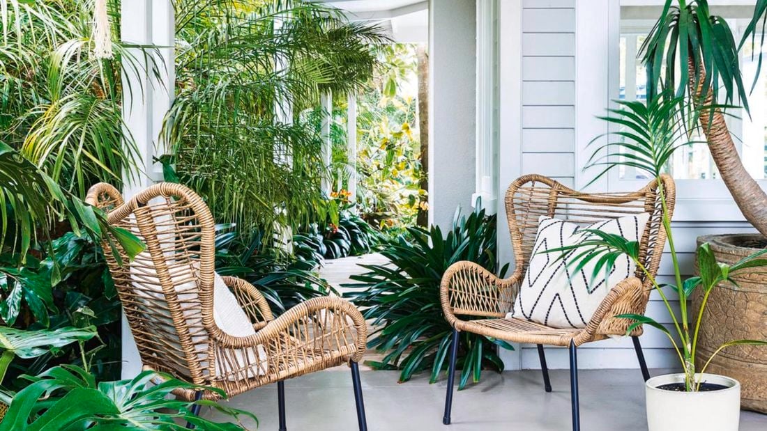 Outdoor area with plants and rattan chairs.
