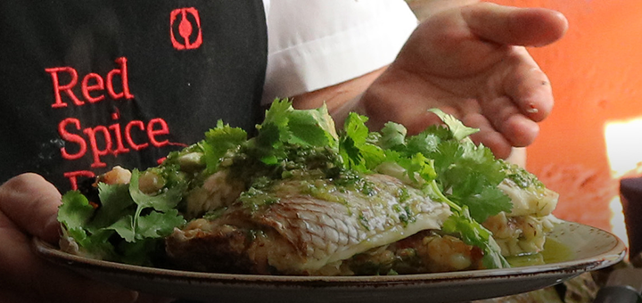 matador south east asian snapper