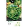 Country Value Seed Lettuce All Year