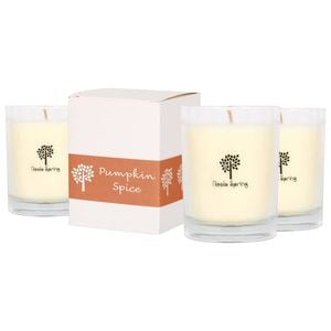 Nicola Spring 3x 160g Soy Wax Scented Candles - Pumpkin Spice - 28 Hour Burn Time Relaxation Aromatherapy Gift Ready Jar Candle