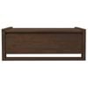 Jasper Blanket Box/Storage Bench (Walnut)