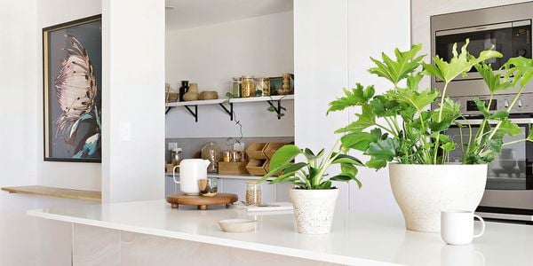Cane and wicker bar stools at a stone kitchen benchtop in a modern, white kitchen