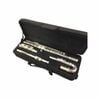 Axiom Curved Head Flute Outfit